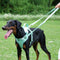 Arnés de perro gomoso