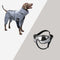 Accesorios reflectantes para perros fríos impermeables para perros