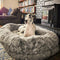 Luxury súper grande sueño cama oval más profunda cama humana de perro