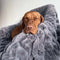 Super Soft Faux Fur & Velvet Luxury Pet Shrow Maneta humana