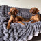 Super Soft Faux Fur & Velvet Luxury Pet Shrow Maneta humana